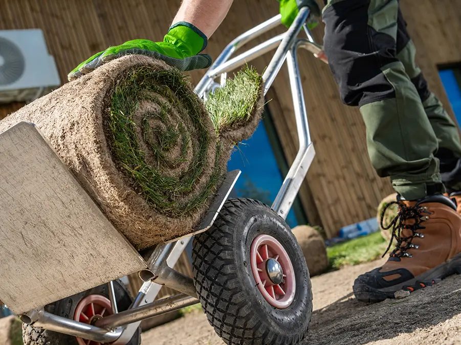 Gras_Rasen_Gruener_Rasen_Spaden_Debstedt_Nordholz_Harrje_GmbH